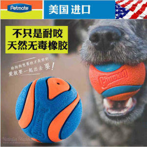 Petmate Dog Toy Sound Making Rubber Ball Interactive Tennis Ball Swinging Stick Natural Rubber Chew Resistant Dog Playtime