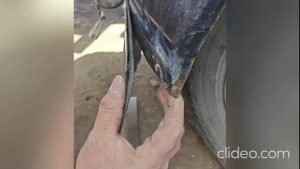 10PCS Multipurpose Nylon Universal Cable Tie Buckle Self-Locking Nylon Buckle Heavy Duty Nylon Zip Ties Gifts Cable Tie Retainer Tie Holder Car Daily Repair