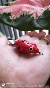 Soft frog mini 3 cm Berat 5 gr