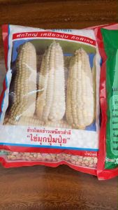 ข้าวโพดปุ้มปุ้ย ข้าวโพดข้าวเหนียวขาว  1000 กรัม /ประมาณ 4000 เมล็ด  สิ้นอายุทำพันธ์  01 / 70