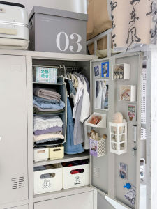 Iron Clothes Storage Box Layered Dormitory Nurse Changing Room Storage Cabinet on Duty Room Modern Style Organizer Box