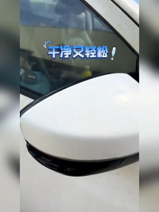 Car Gum & Shellac Remover Spray Strong Cleaner for Tree Gum Bird Droppings & Stains 树胶虫胶去除剂 强力去污清洁剂 汽车车漆鸟粪树胶虫胶去渍清洗剂
