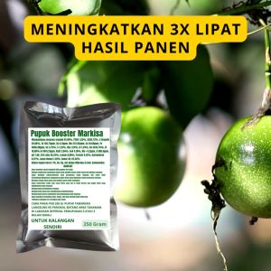 Pupuk Booster Markisa: Cara Meningkatkan Kualitas & Pertumbuhan