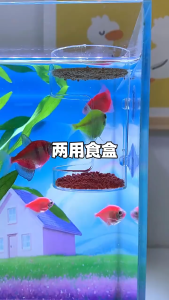 2pcs Non-Slip Aquarium Food Feeder Fixed-Point Fish Tank Feeder Clear Suction Cup Aquarium Feeder Ring