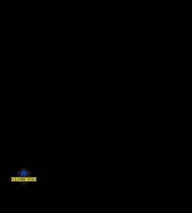 New 90CM WIDTH Commercial Drainage Mat Thick Drainage Non-Slip Mat PVC Drainage Rug Floor Mat Mesh Holes Pool Drain Floor Mat Roll for Restaurant Kitchen Bars Patio Bathroom Wet Area Red Carpet B-900( CUSTOMIZABLE LENGTH) waterproof anti slip PVC S mats