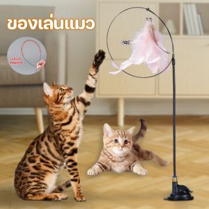 Pattey  ไม้ล่อแมว ไม้แหย่แมว ของเล่นแมว Cat toy ขนนก แบบปุ่มดูดสุญญากาศ