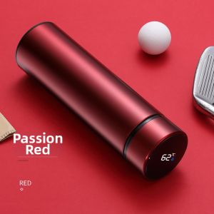 Smart Temperature Display Stainless Steel Thermos