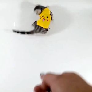 Pakaian Kucing Lucu Anjing Tshirt Kartun Kelinci Baju Musim Panas Kasual Rompi Untuk pakaian