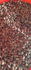 100g hạt thầu dầu tía