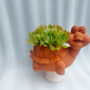 Chậu đất nung chậu sen đá - Thanh niên rùa dài 22cm rộng 12cm cao 14cm