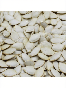 No Additives Fresh Large Pumpkin Seeds