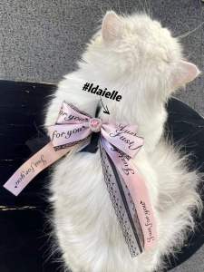 LDAIELLE Original Cat Leash Prevent Escape Outdoor Walking Cat Rope Cat Chest Strap Small Cat Butterfly Knot Pet Supplies