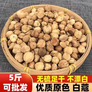 White Cardamom Spices Seasoning Herbs