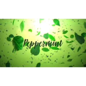 AIR FRESHENER CAR PERFUME PEWANGI KERETA KEEF & NISH PEPPERMINT