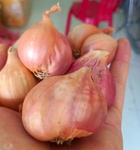 Hành Bắc (1kg)
