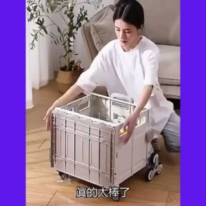 Folding Trolley Shopping Cart Double Basket 45L Plastic Grey Green Vegetable Market Design SG Stock