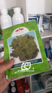Bibit Benih Selada Keriting Hijau Grand Rapids Cap Panah Merah isi 15 Gram
