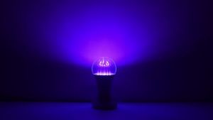 SXH Haunted House Fluorescent Party UV Purple Light Bulb 395/400nm Wide Pressure 85-265V Transparent cover LED Globe