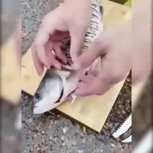 Pisau 3in1 Skewer Alat Pemotong Ikan Pisau Ikan Pembersih Sisik J26