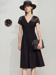 AMII | Minimalist V-Neck Fitted Lace Flying Sleeve A-Line Waist Dress