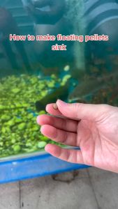 1kg Green Red Floating Pellets Pellet for Koi Goldfish Fish Food Pet Essentials