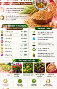 Vỏ Trấu Sống Đã Xử Lý An Toàn Cho Cây Trồng Và Vật Nuôi Cải Tạo Đất Giữ Ẩm Thân Thiện Môi Trường Bao 5Kg