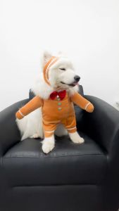 จินเจอร์เบรด ชุดขนมปังขิง ชุดเทศกาลคริสต์มาสสำหรับสัตว์เลี้ยง | CLAWSET.BKK