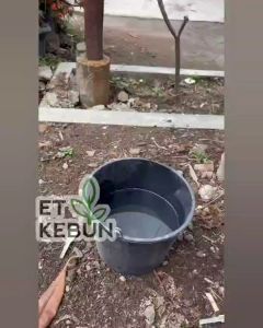 [Beli 3 Gratis 1] Pupuk Booster Buah ET-KEBUN 100ml Original Pelebat Pembesaran Buah Diluar Musim