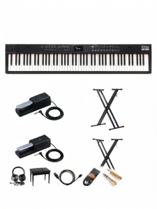 Portable 88-key Weighted Digital Piano