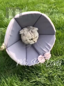 【Mi Pet Lover】Pet Cone Collar for Dog Cat Elizabethan Dog Neck Collar