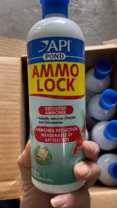 Sản phẩm AMMO-LOCK POND của API khử Amoniac trong bể cá dung tích 473ml