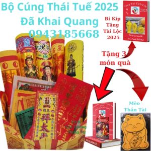 Bộ Cúng Thái Tuế Giải Thái Tuế 2025 Cho Người Phạm Thái Tuế Tuổi Dần Thân Tỵ Hợi Tặng Mèo Thần Tài Phong Thủy Giá Sỉ