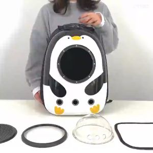 👑Pet Store👑 กระเป๋าสะพายสัตว์เลี้ยง กระเป๋าแมว กระเป๋าสะพายหมาแมวลายการ์ตูน กระเป๋าแคปซูลอวกาศ กระเป๋าสัตว์เลี้ยง✨พร้อมส่ง✨