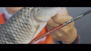 Joran Pancing DAIDO EMPEROR GARUDA 210cm/2-6lbs UL (SP / BC) Hut RI 80th Murah - Toms Fishing