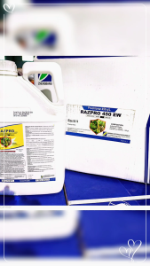 Same Effect of  OMEGA 45 EW  (RAZPRO)PROCHLORAZ   1L5L