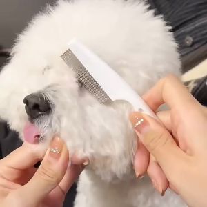 หวีสางขนสัตว์เลี้ยง 2 ไซส์ กับ หมัด แปรงเห็บหมัด สุนัข แม หวีหมัด