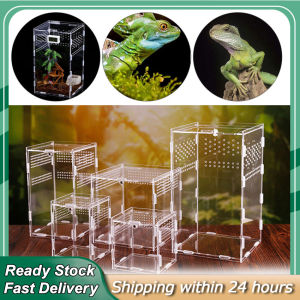 【In Stock+COD】Acrylic Reptile Breeding Box Insect Landscaping Feeding Box for Spider Lizard
