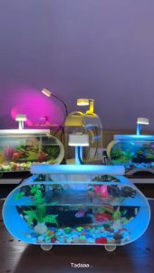 Aquarium / Akuarium mini set lengkap dengan mesin pompa filter sirkulasi murah dan bagus tinggal pakai (B002) Akuarium Plastik Berbentuk Persegi Panjang Set Akuarium Medium Untuk Ikan - Lazada