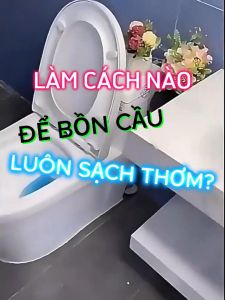 Vi sinh Tẩy Ố Diệt Khuẩn Khử Mùi và Chống tắc nghẽn đường ống ECODEALS Bio Enzymatic 100g - Hiệu quả 2 tháng