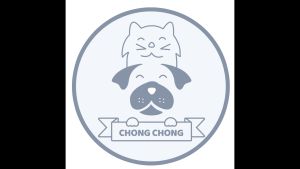 CHONG CHONG 2800W Pet Fast Drying Hair Dryer Blower Low Noise Pet Grooming Supplies For Dog and Cat