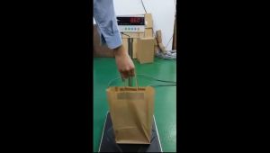 Beg Kertas / Brown Kraft Paper Bag with Twisted handle / Brown Gift Paper Bag / beg kertas - 2sizes available (25pcs per pkt)