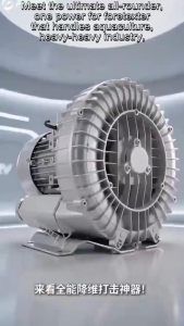 High-pressure vortex fan powerful vacuum pump fish pond aeration machine industrial blower vortex type air pump oxygenating aeration machine