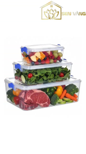 Set 5 Hộp đựng thực phẩm nhựa VIỆT NHẬT - Trong suốt có nắp khóa đựng đồ ăn để tủ lạnh - 6695