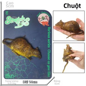 Mô Hình Động Vật Biển Bóp Mềm Thực Tế