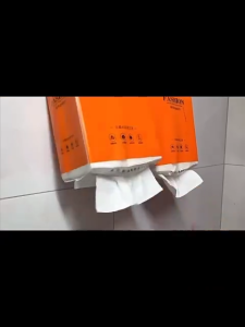 BUY 1 TAKE 2 No-Drill Wall Mounted Tissue Box Large Capacity Waterproof Hanging Facial Tissue Holder with Free Hooks Easy Install for Home