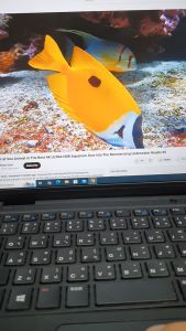 Mini PC Dell มินิ พีซี (used)สำหรับนัก DIY เบาบาง มี keyboard mouse pad และ battery อ่านรายละเอียดก่อนสั่งซื้อ windows 1011 All linux  home assistant