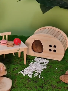 Wheel Super Run - Wheel chạy êm dành cho hamster - T3 PETS SHOP