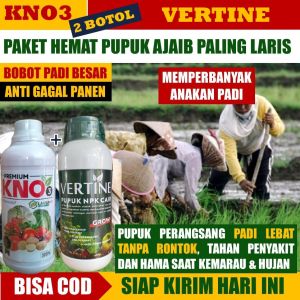 1 Botol Pupuk Cair KNO3 PREMIUM & 1 Botol VERTINE Grow Obat Pelebat Padi dan Memperbanyak Anakan Padi  Anti Hama Kerdil Padi – Obat Padi Ampuh isi 2 BOTOL Menambah Bobot dan mengisi Bulir Padi Alami 100% ORIGINAL dan Semua Tanaman di Musim Hujan