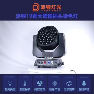 Paxdun | Stage Lighting Beam Wash Effects 19 LED Lamps