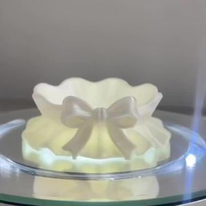 Khay Đựng Đồ Hình Nơ Trắng In 3D Phong Cách Nữ Tính Đồ Trang Trí Nhà Cửa Hộp Đựng Đồ Văn Phòng Phụ Kiện Trang Trí Tiệc Tùng Và Ô Tô